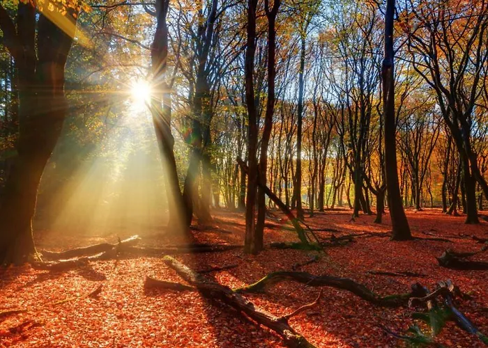 Enjoy Nature, And Beautiful Surroundings Шале Пюттен