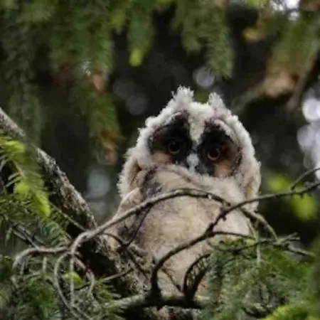 Alpehytte Enjoy Nature, And Beautiful Surroundings Putten