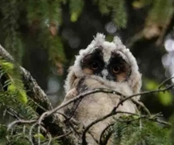 Chalé Enjoy Nature, And Beautiful Surroundings Putten